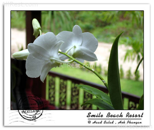 Smile Beach Resort 25